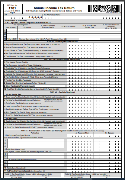 annual income tax return form3